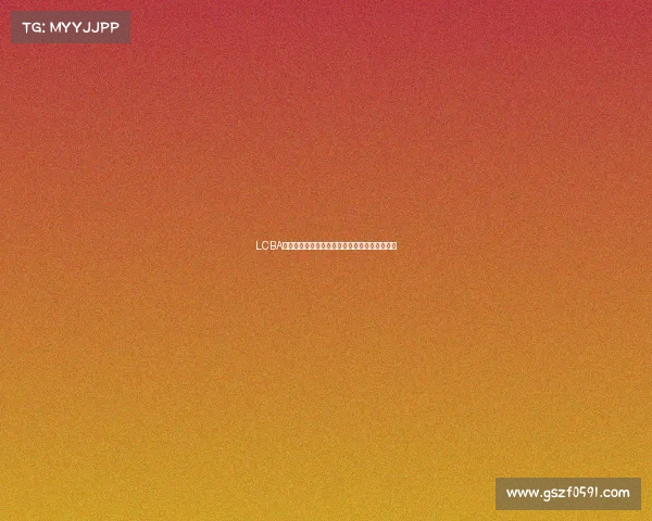 LCBA来力赛事沧州站激情开战高手云集争夺荣耀时刻 LCBA来力赛事沧州站激情开战高手云集争夺荣耀时刻